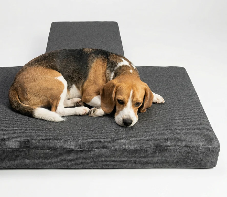 Ott Wohnmobilmatratzen CamperDog Hundematratzen
